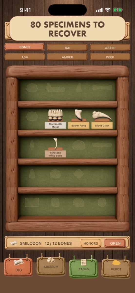 Museum bones collection display cabinet